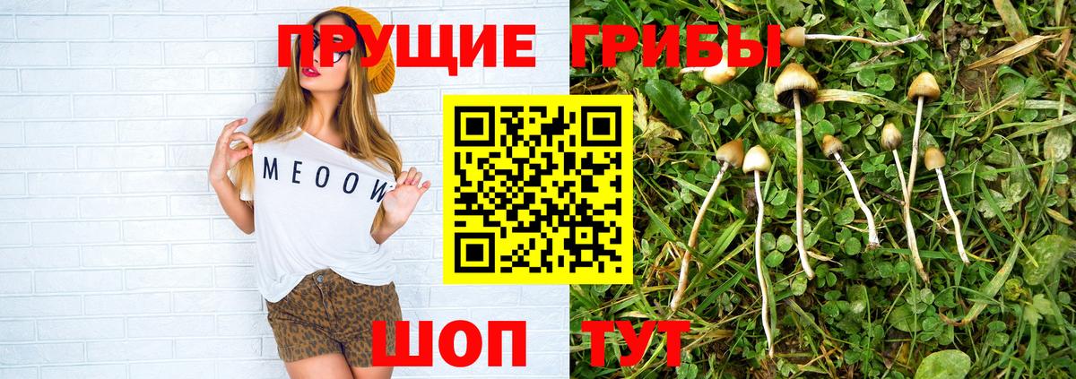 Дзержинск  Галлюциногенные грибы мицелий  Вход с VPN 